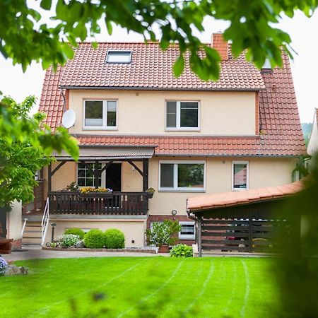 Ferienhaus Og1 "Westerwald Blick" Martinfeld Dış mekan fotoğraf