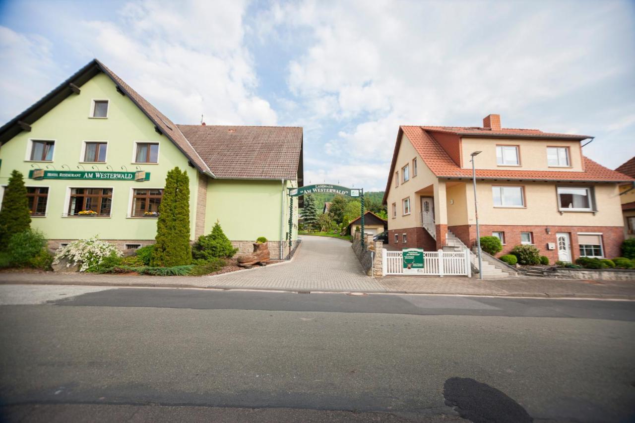 Ferienhaus Og1 "Westerwald Blick" Martinfeld Dış mekan fotoğraf