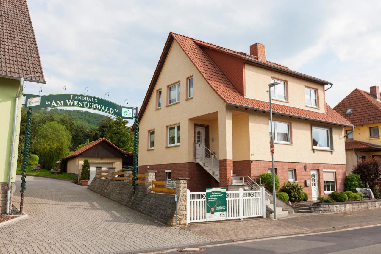 Ferienhaus Og1 "Westerwald Blick" Martinfeld Dış mekan fotoğraf