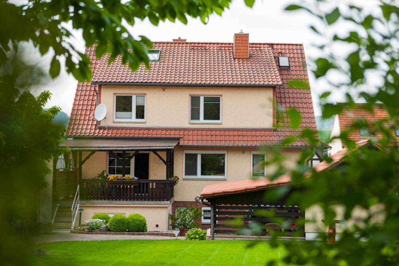 Ferienhaus Og1 "Westerwald Blick" Martinfeld Dış mekan fotoğraf
